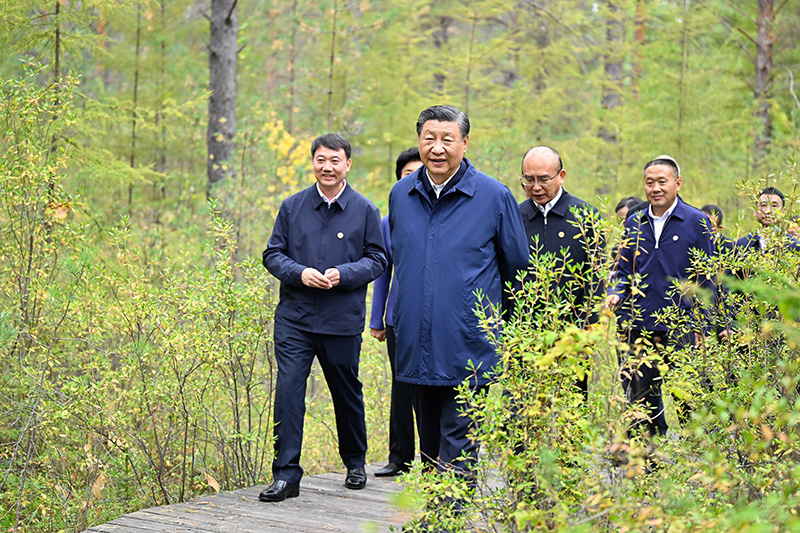 9月6日至8日，中共中央總書記、國家主席、中央軍委主席習近平在黑龍江考察。這是6日下午，習近平在大興安嶺地區漠河市漠河林場自然林區考察